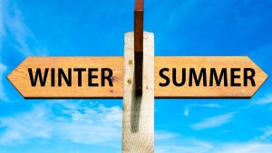 Read more about the article Winter VS Summer: When to Ship